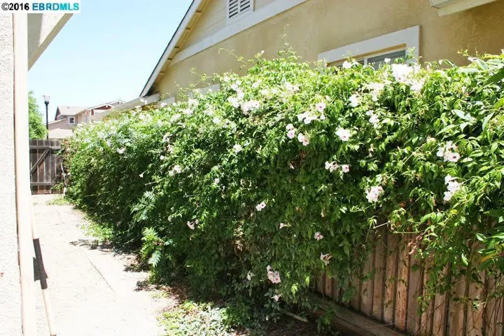 936 Sawyer Way, Brentwood, California 94513-8330
