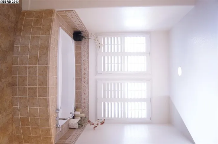 Master Bathroom Bathtub