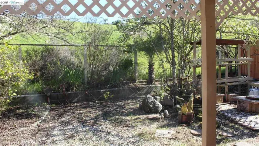 Back yard