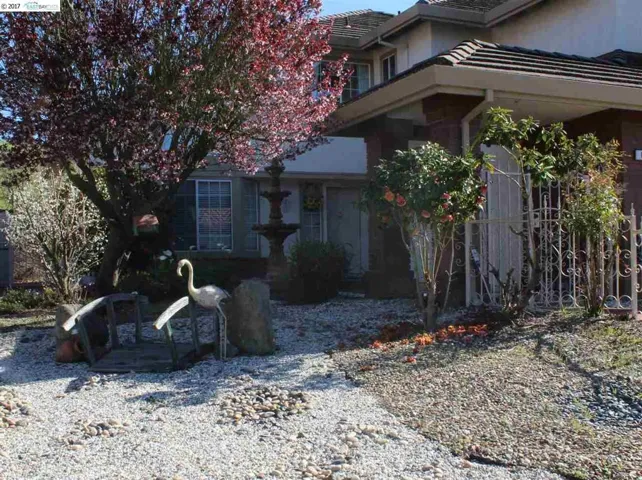 Front yard