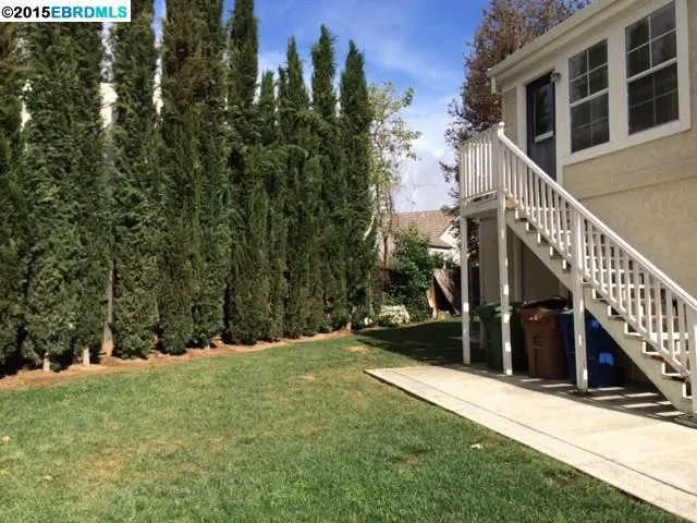 345 Chelmsford Dr, Brentwood, California 94513