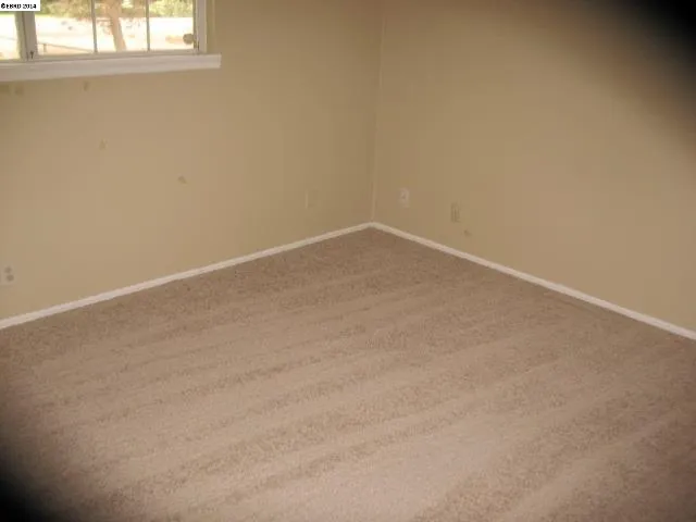 667 W Tyler Island Bridge Rd, Isleton, California 95461