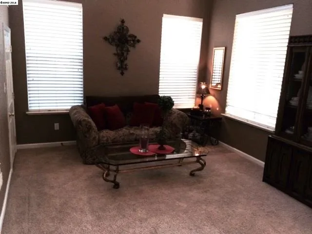 2951 Maplewood Ct, Brentwood, California 94513-5489