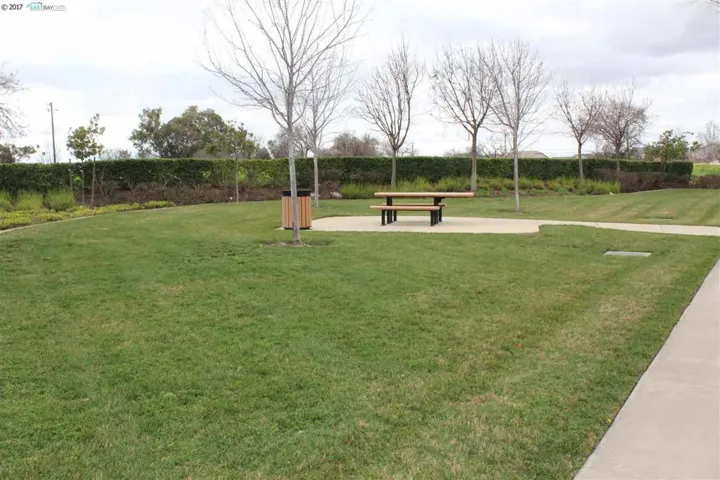 Nice grassy areas for people to relax, have picnic and walk dogs