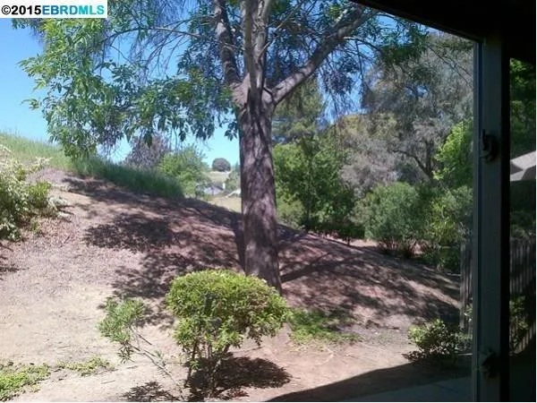 1593 London Cir, Benicia, California 94510-9999