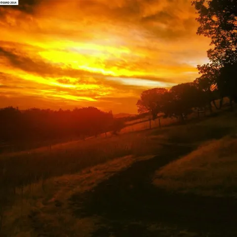 4901 Briones Valley Rd, Brentwood, California 94513-4920
