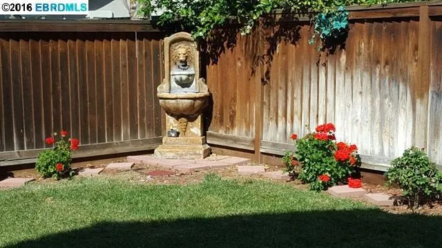 814 Shasta Daisy, Brentwood, California 94513