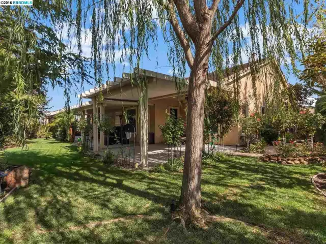 719 Stewart Way, Brentwood, California 94513