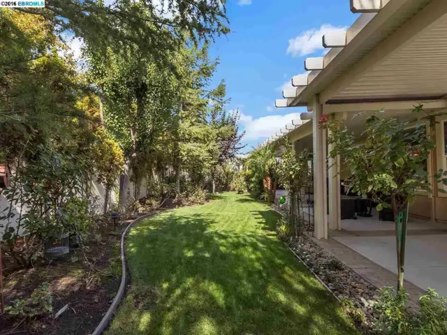 719 Stewart Way, Brentwood, California 94513