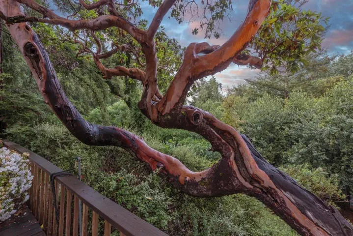 21661 Woolaroc Drive, Los Gatos, California 95033