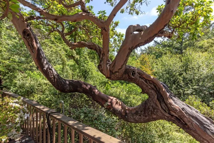 21661 Woolaroc Drive, Los Gatos, California 95033