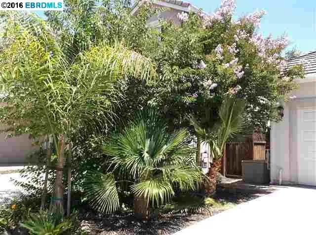 1866 White Sands St, Brentwood, California 94513