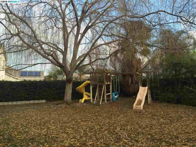 780 Begonia Dr, Brentwood, California 94513