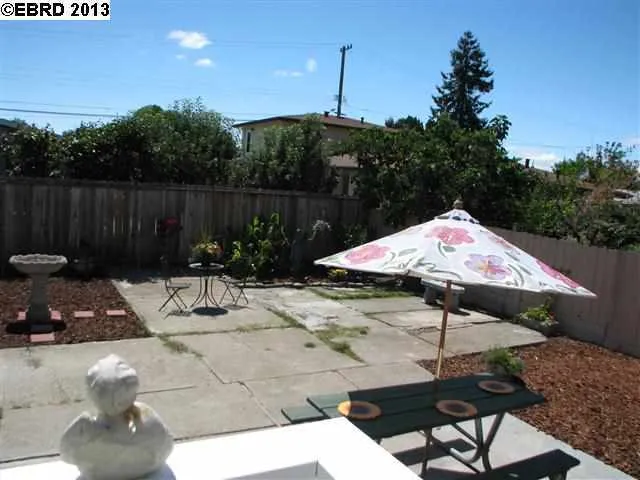 Right Back Yard
