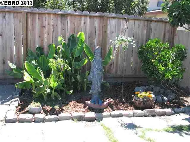 24243 Alice Street, Hayward, California 94544