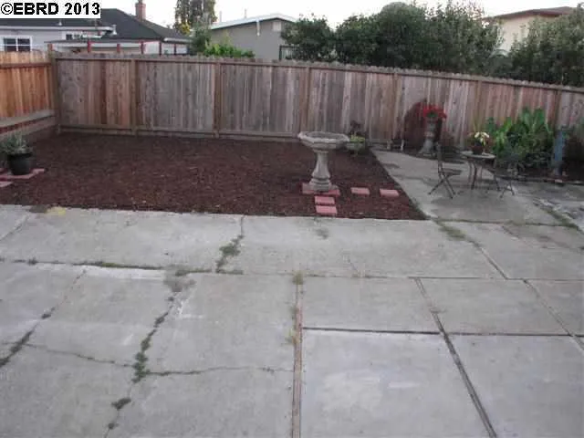 Left Side Back Yard