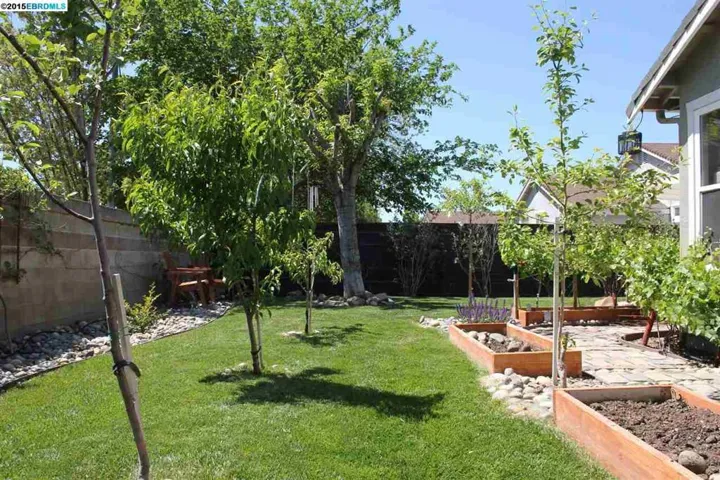 4682 Roosevelt Dr, Brentwood, California 94513