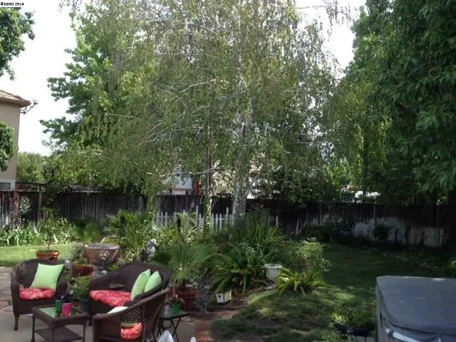 60 Barrington Ct, Brentwood, California 94513-2900