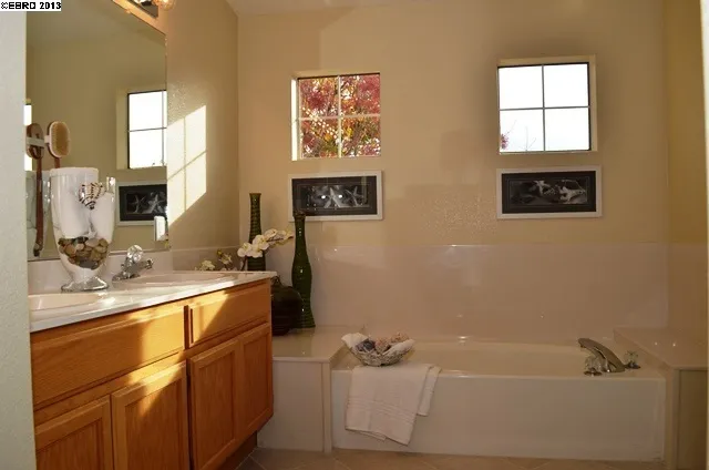 4787 Mills Dr, Brentwood, California 94513-4448