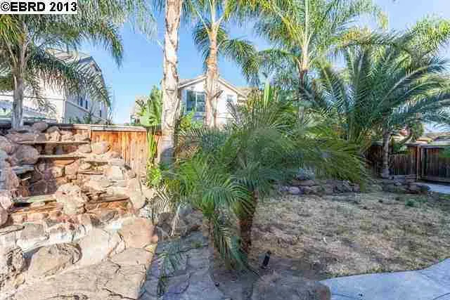 878 Larkspur Ct, Brentwood, California 94513-6395