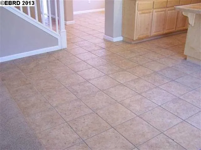 754 Altessa Dr, Brentwood, California 94513-7048
