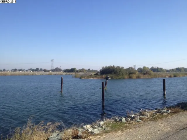 2070 Dutch Slough Rd, Oakley, California 94561