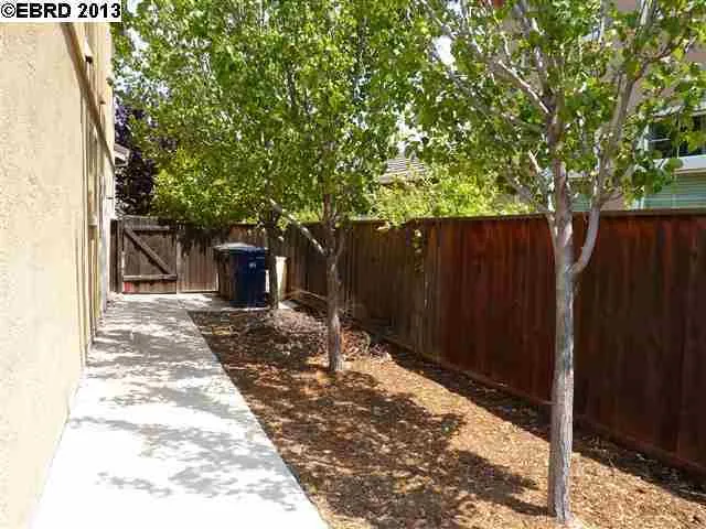 Side Yard