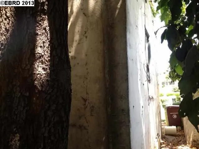9217 Cherry St, Oakland, California 94603-1629