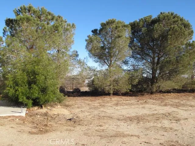 14450 Buttonwood Street, Phelan, California 92371