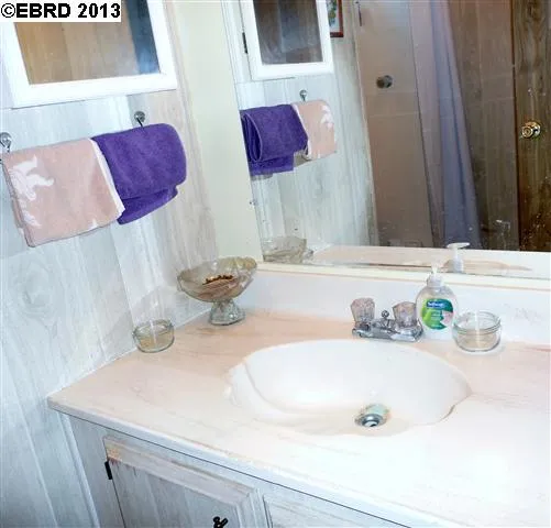 4603 Balfour, Brentwood, California 94513