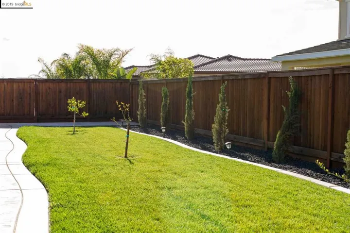 Low maintenance yard.