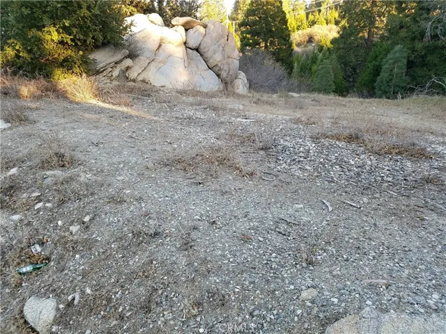 21650 Ballenger Road, Cedarpines Park, California 92322
