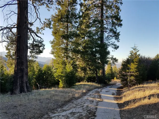 21650 Ballenger Road, Cedarpines Park, California 92322