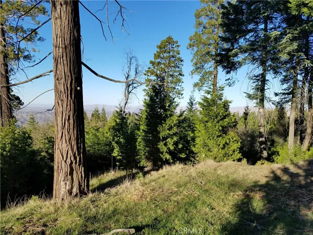 21650 Ballenger Road, Cedarpines Park, California 92322