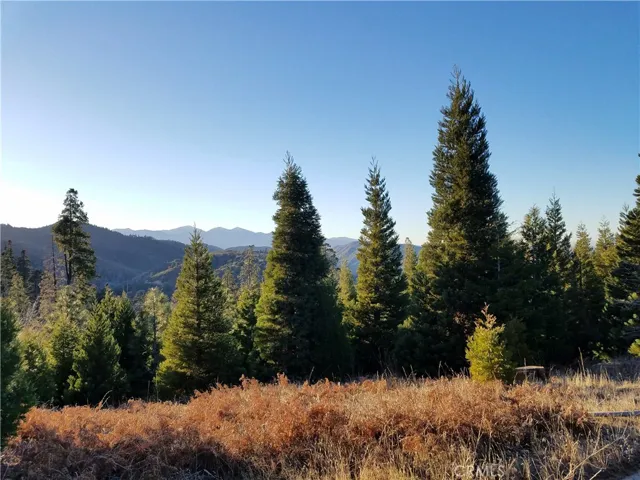 21650 Ballenger Road, Cedarpines Park, California 92322
