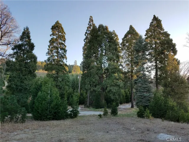 21650 Ballenger Road, Cedarpines Park, California 92322