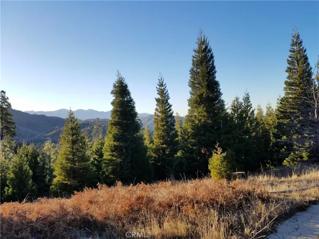 21650 Ballenger Road, Cedarpines Park, California 92322