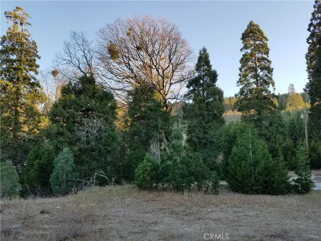 21650 Ballenger Road, Cedarpines Park, California 92322