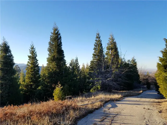 21650 Ballenger Road, Cedarpines Park, California 92322