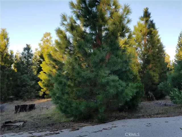 21650 Ballenger Road, Cedarpines Park, California 92322