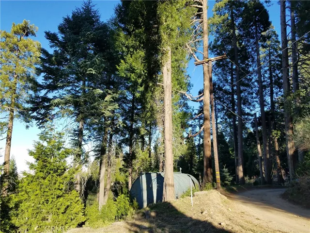 21650 Ballenger Road, Cedarpines Park, California 92322