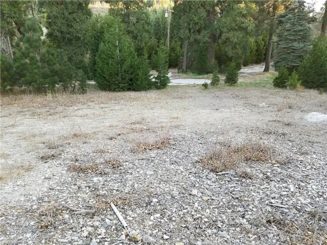 21650 Ballenger Road, Cedarpines Park, California 92322