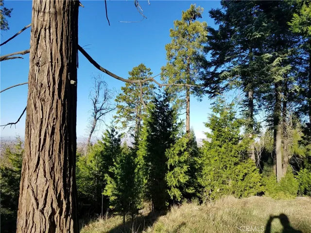 21650 Ballenger Road, Cedarpines Park, California 92322