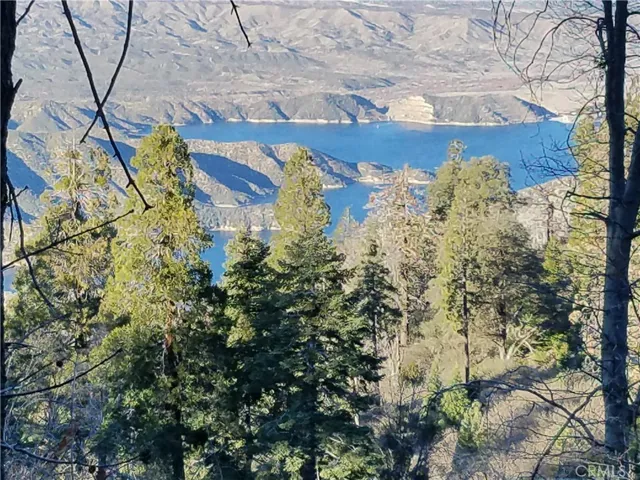 21650 Ballenger Road, Cedarpines Park, California 92322