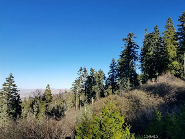 21650 Ballenger Road, Cedarpines Park, California 92322