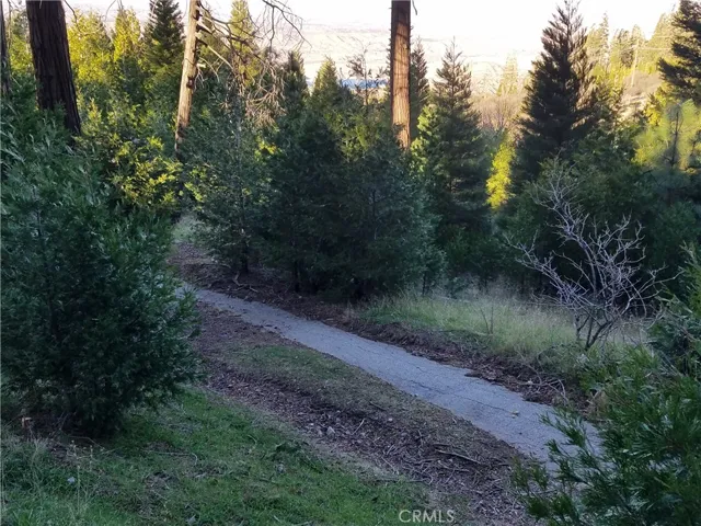 21650 Ballenger Road, Cedarpines Park, California 92322