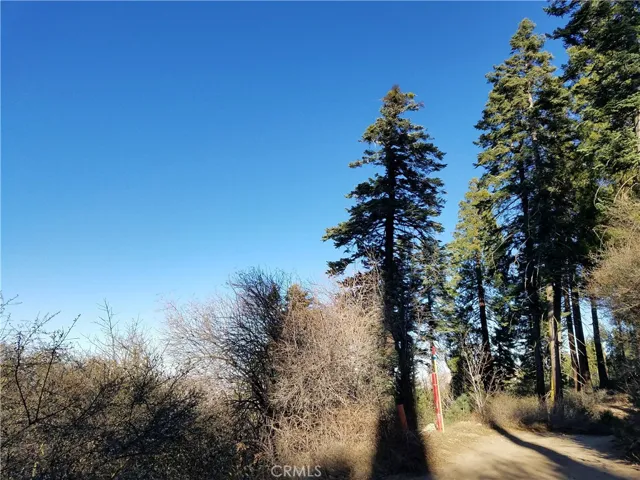 21650 Ballenger Road, Cedarpines Park, California 92322