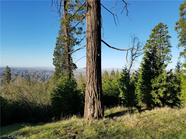 21650 Ballenger Road, Cedarpines Park, California 92322