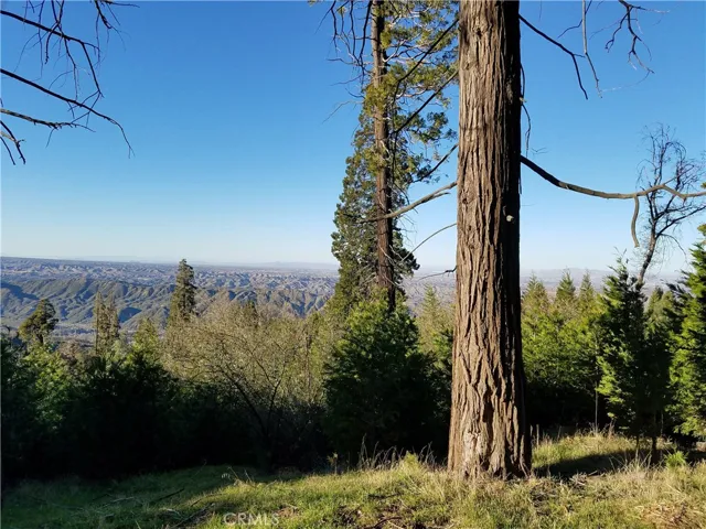 21650 Ballenger Road, Cedarpines Park, California 92322