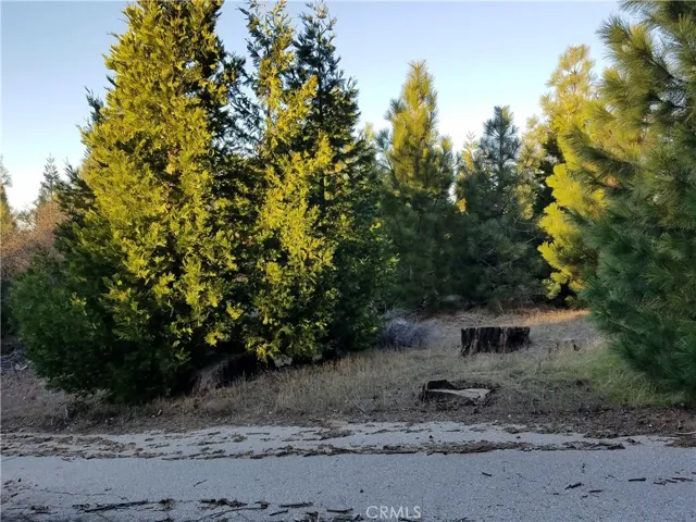 21650 Ballenger Road, Cedarpines Park, California 92322